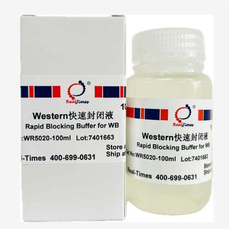 Western快速封闭液