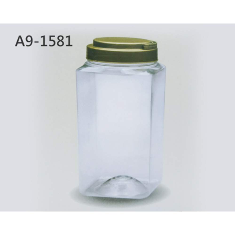 A9 一 1581 