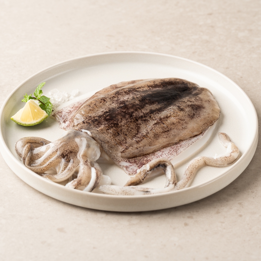 菲律賓鮮掀軟絲
