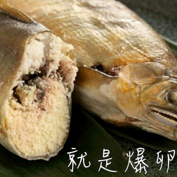 爆卵母香魚(單尾)