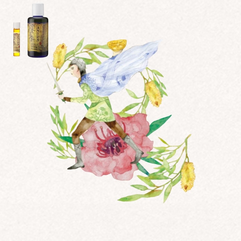 【芳香樂府】帕西法爾