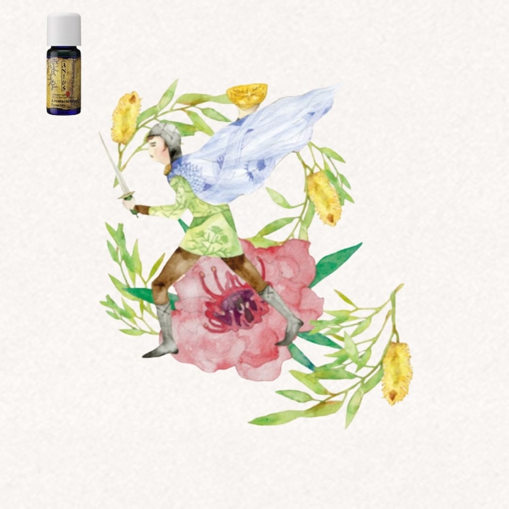 【芳香樂府】帕西法爾