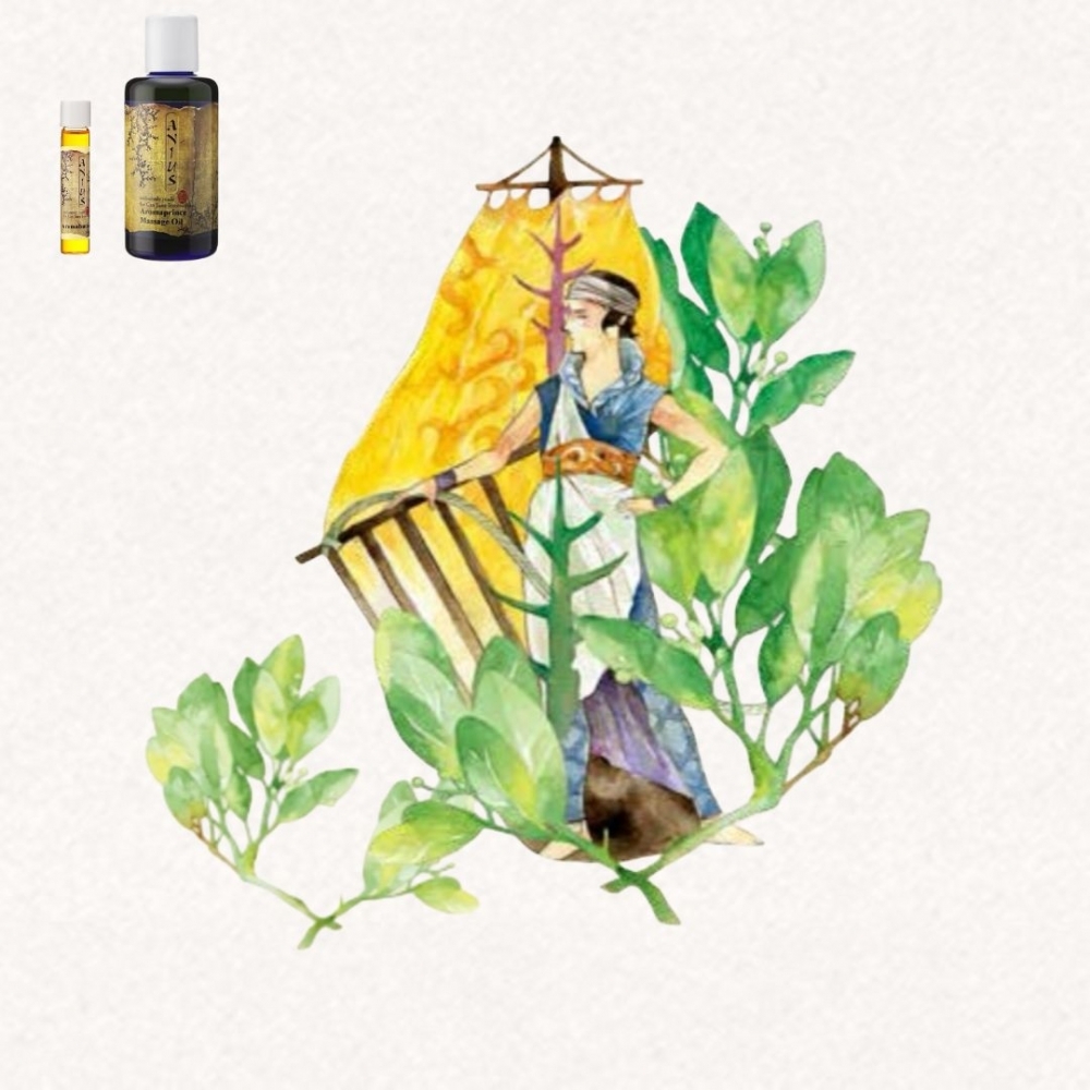 【芳香樂府】飛行的荷