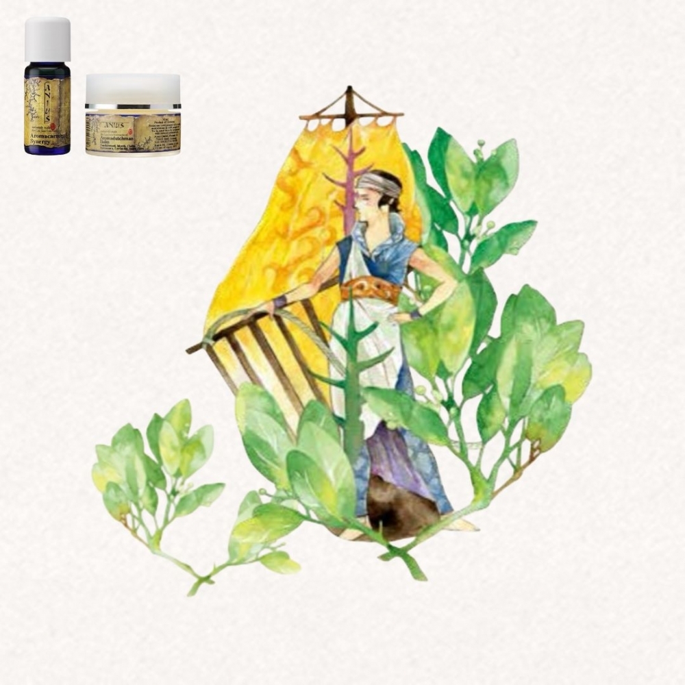 【芳香樂府】飛行的荷