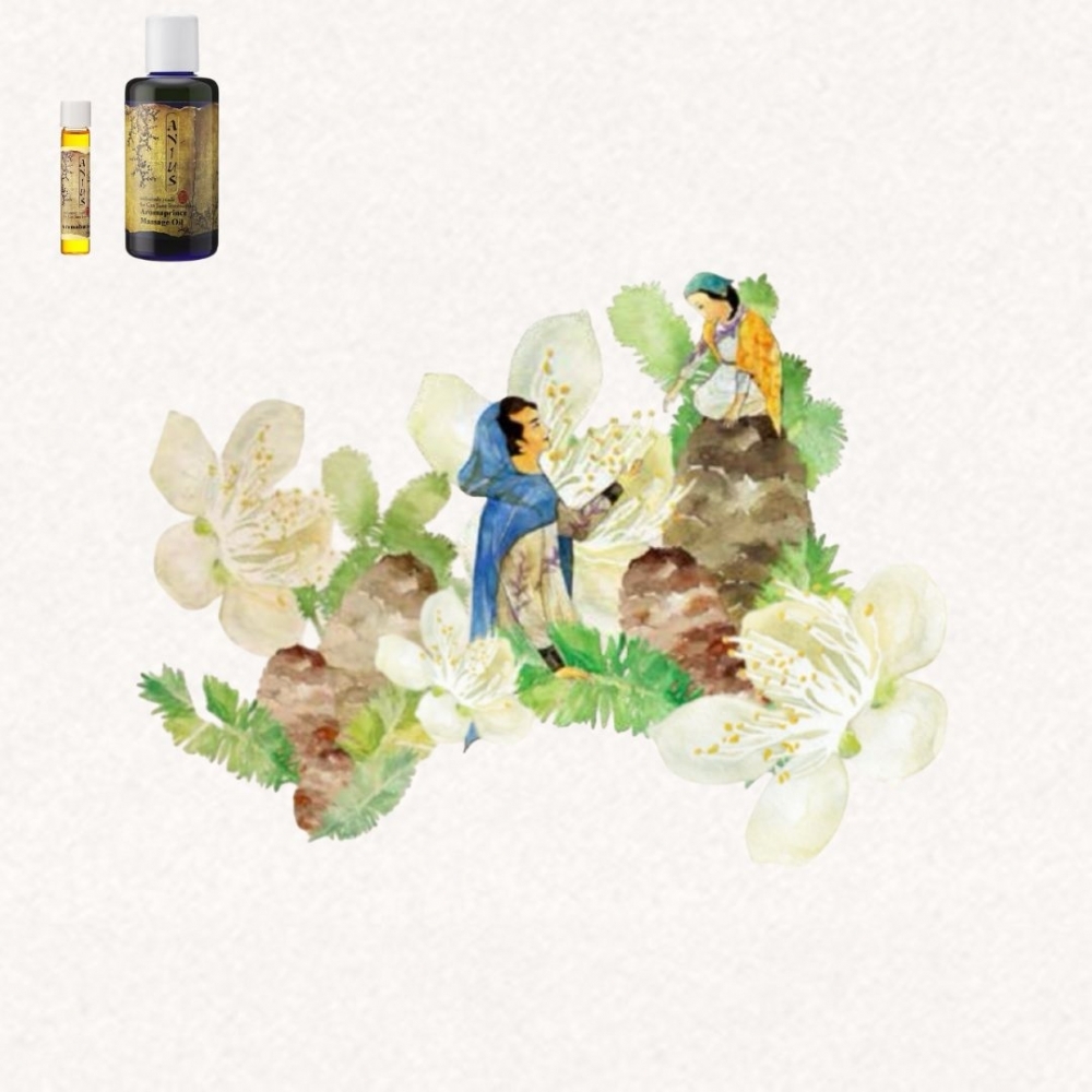 【芳香樂府】我曾有夢