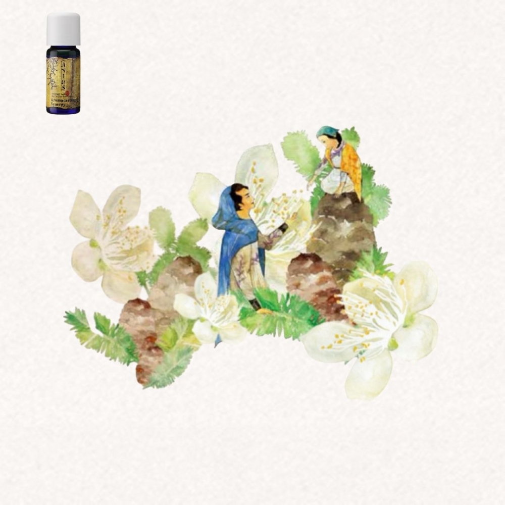 【芳香樂府】我曾有夢