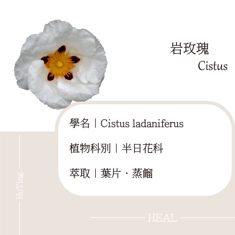禾庭HoTing｜spa按摩,精油按摩,台北spa按摩,板橋spa按摩