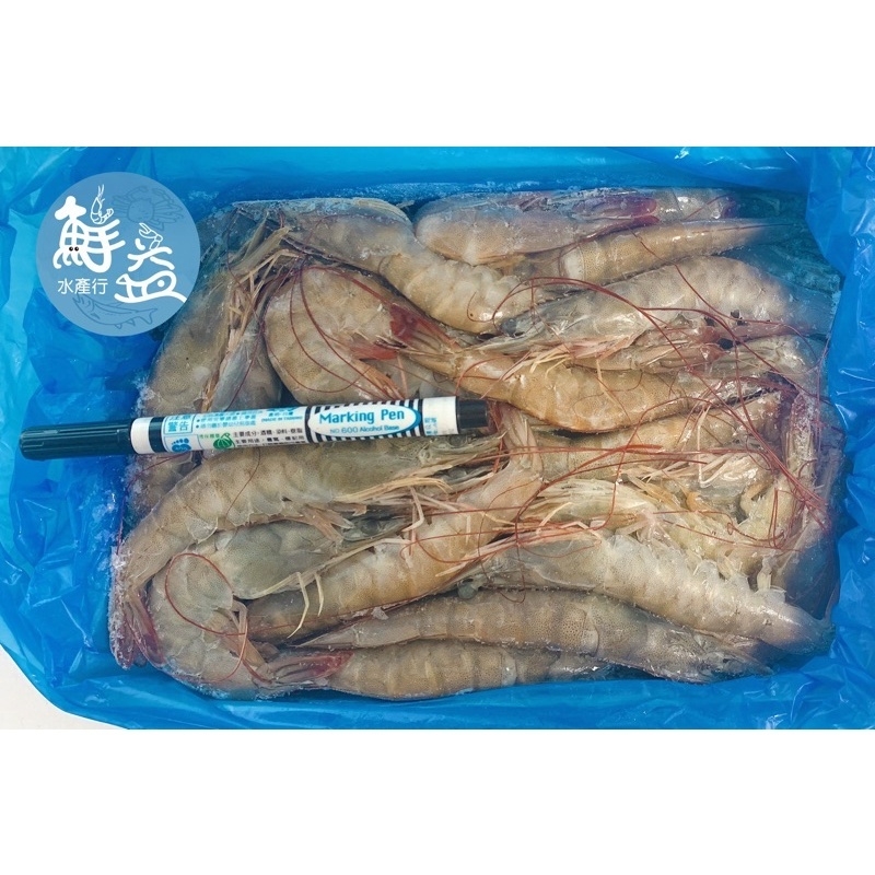 中南美白蝦