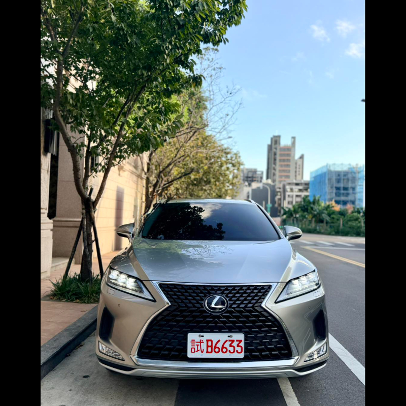 Lexus RX300 總代理公司車一手車 鈦銀色 旗艦版