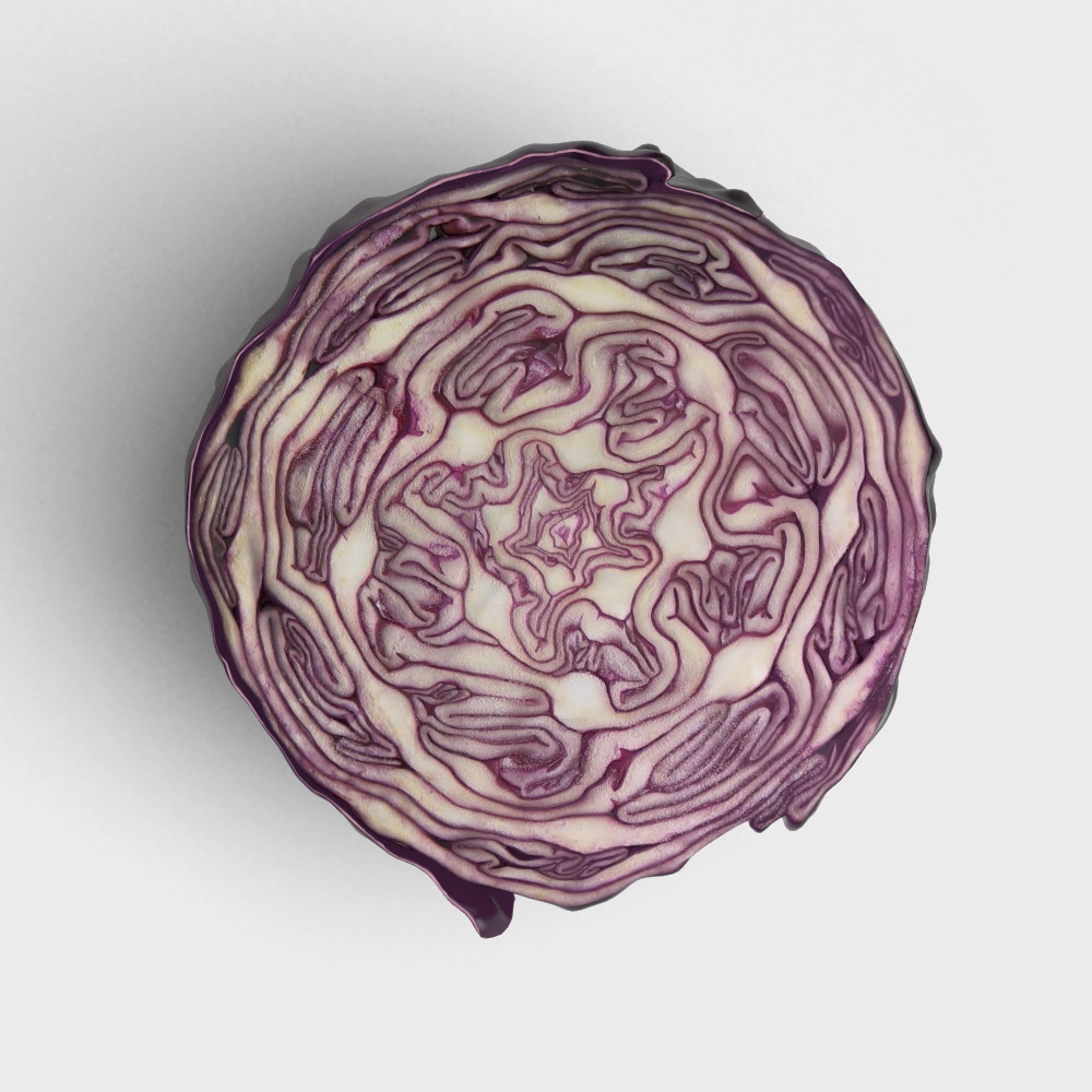 紫色高麗菜