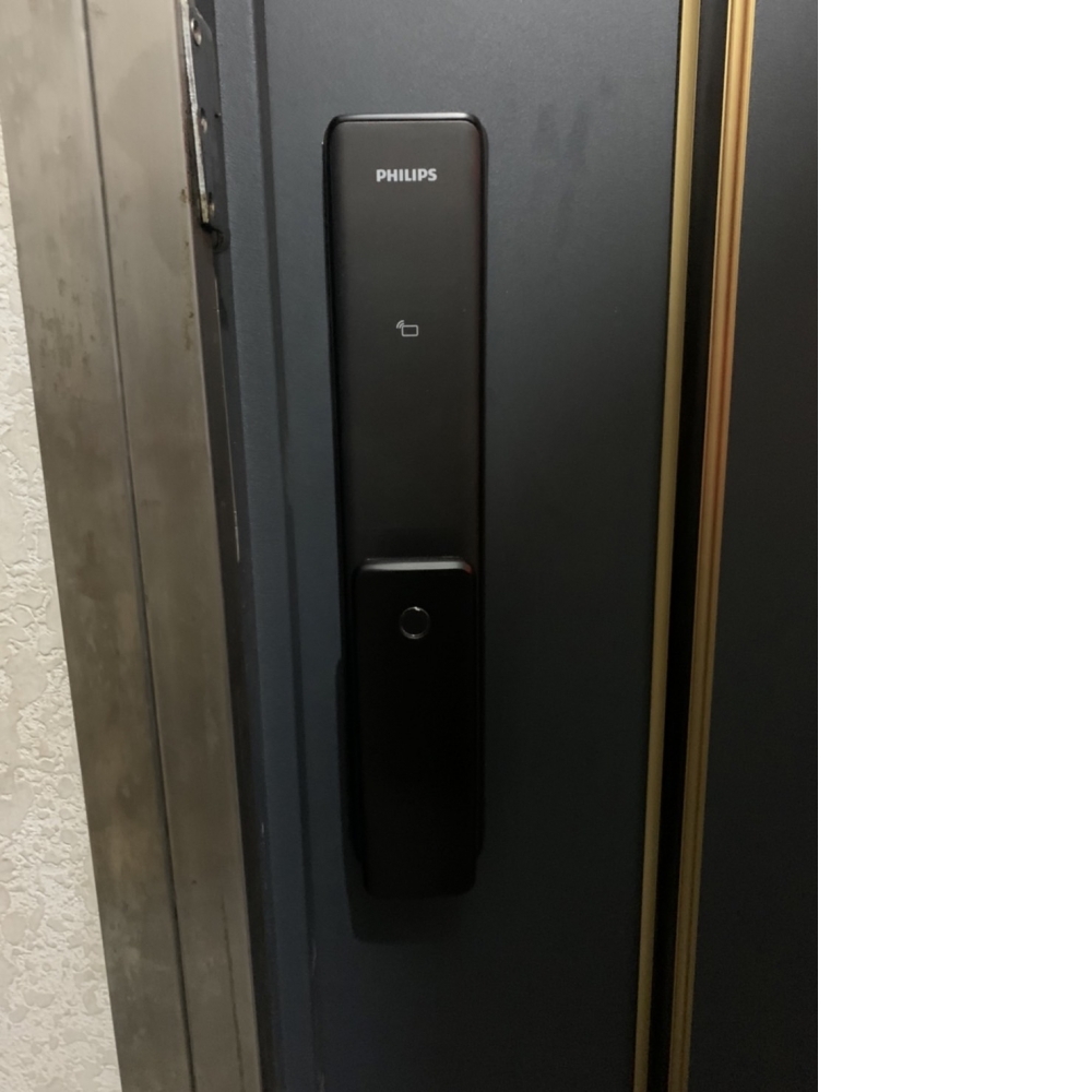 ﹝PHILIPS飛利浦﹞ Alpha | 五合一推拉智能電子鎖-全台到府安裝