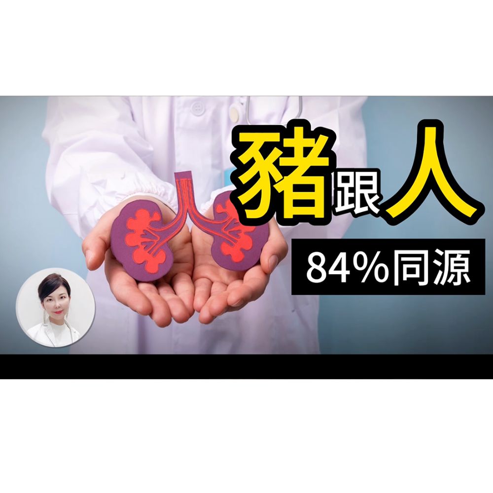 豬腎活人移植成功第一