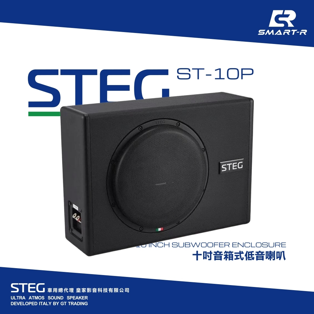 STEG 十吋音箱式低音喇叭