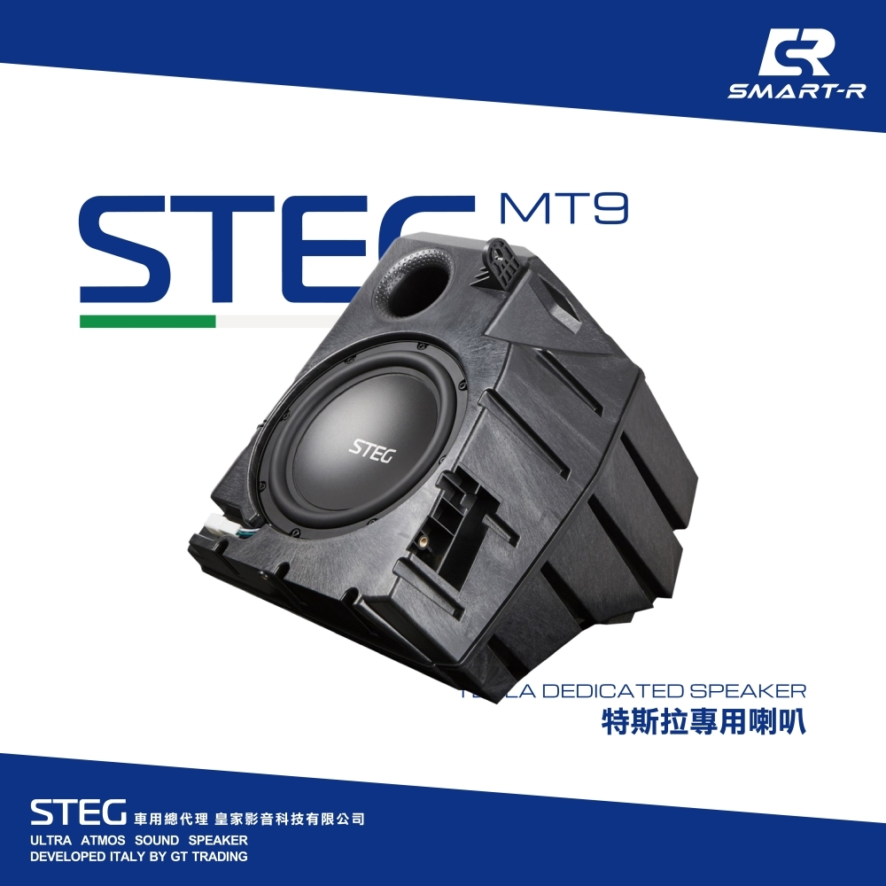 STEG 九吋音箱重低音喇叭 — 特斯拉專用