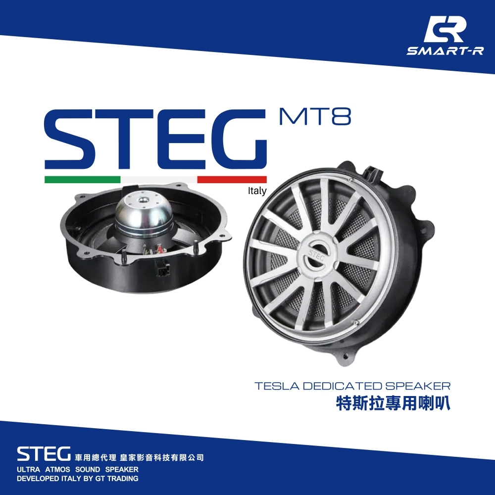 STEG 八吋腳踏板低音 — 特斯拉專用