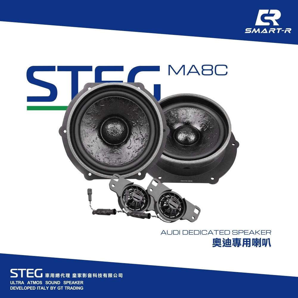 STEG 二音路分離喇叭 — 奧迪專用