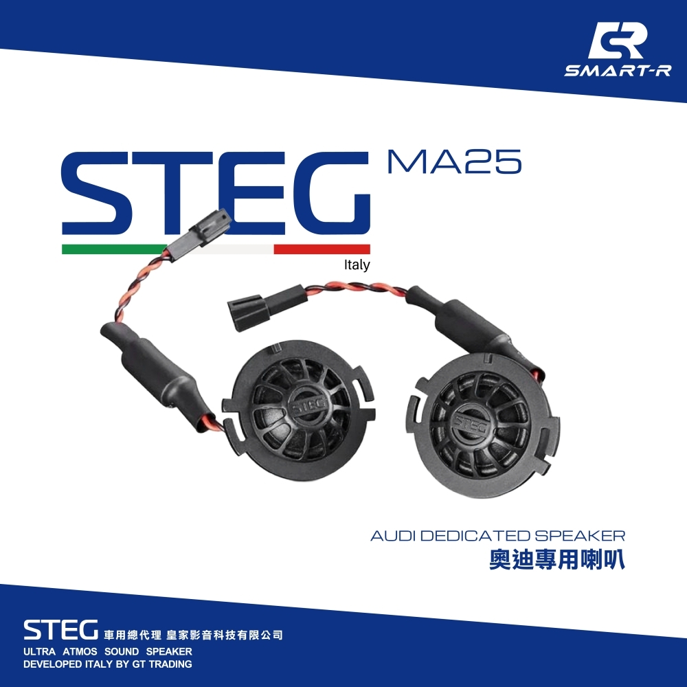 STEG 高音喇叭 — 奧迪專用