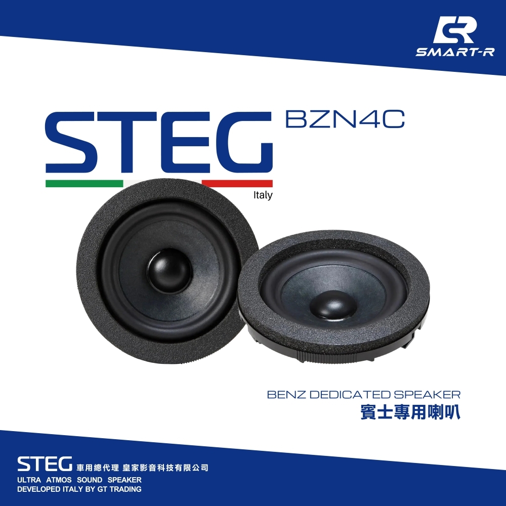 STEG 四吋中低音
