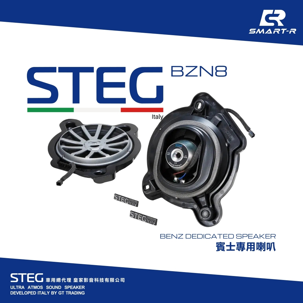 STEG 八吋超低音