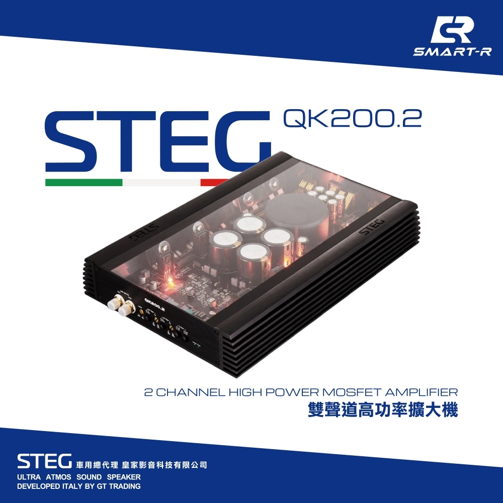 STEG 雙聲道高功
