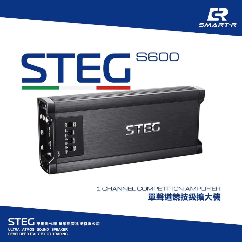 STEG 單聲道競技