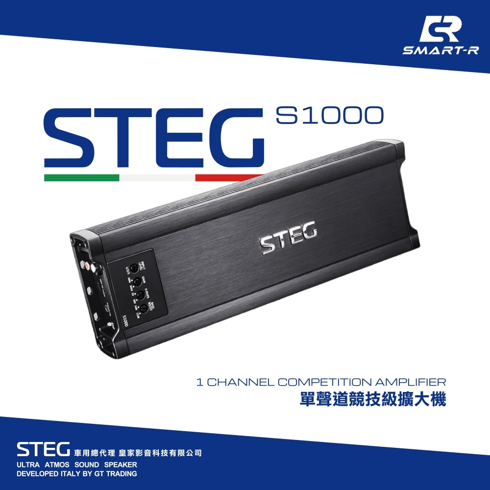 STEG 單聲道競技
