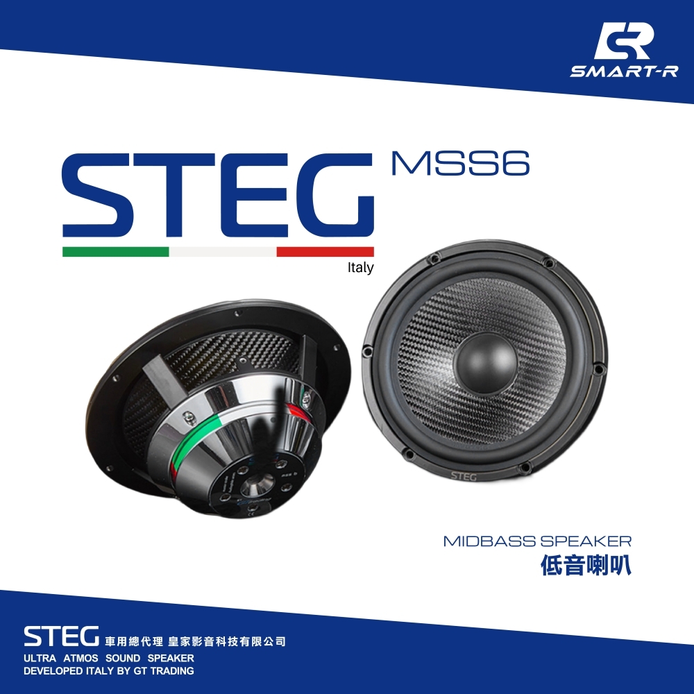 STEG 中低音單體
