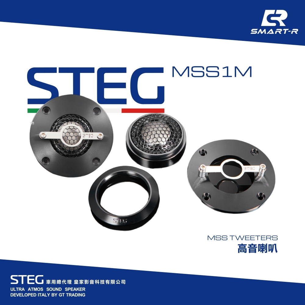 STEG 高音喇叭