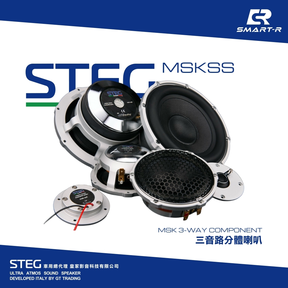 STEG 三音路分體