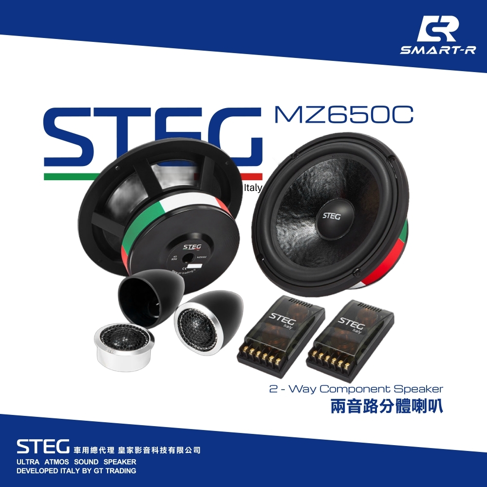 STEG 兩音路分體