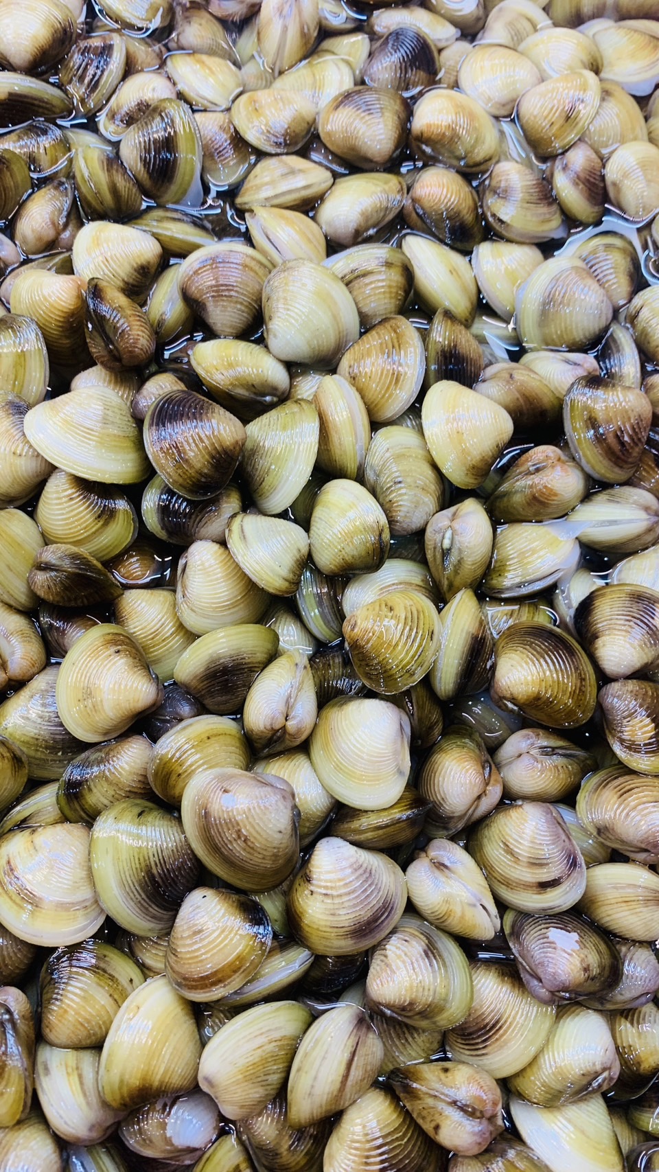 蜆仔