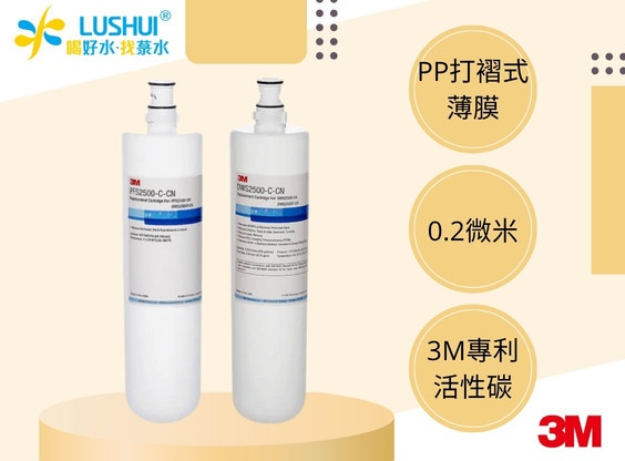 【3M】DWS2500 智慧型淨水系統替換濾心(1組2支)