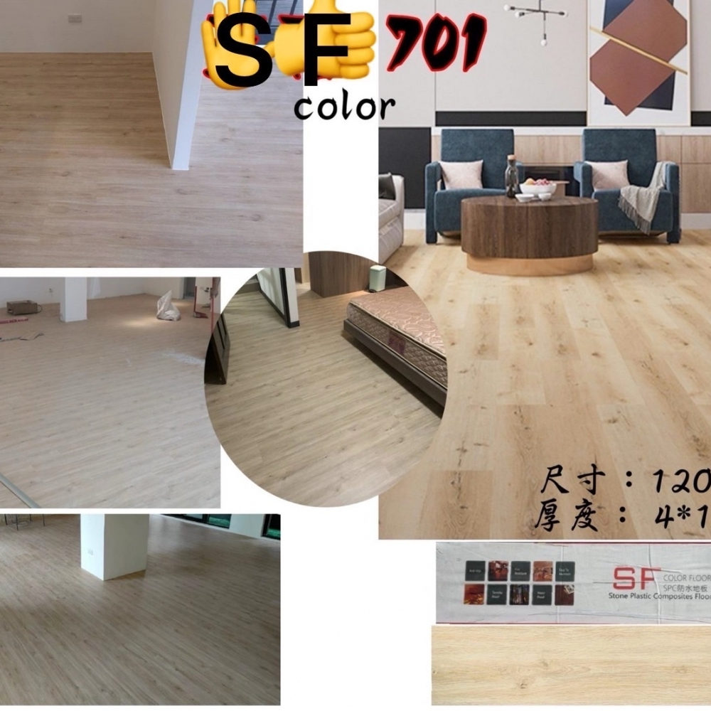 Color 7｜王后