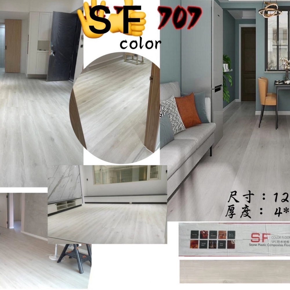 Color 7｜王后