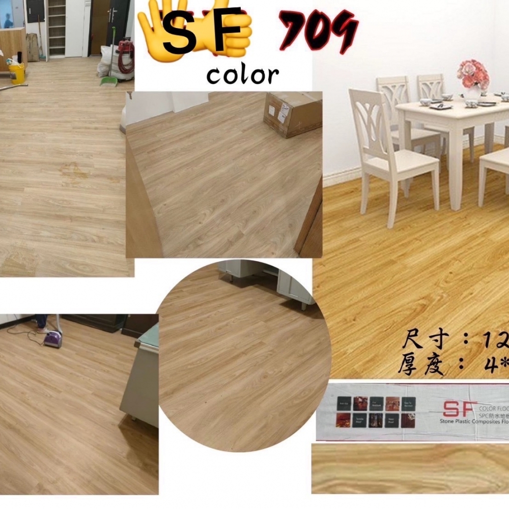 Color 7｜王后