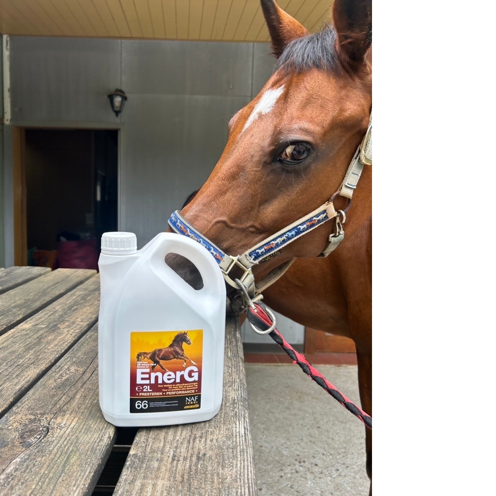 (少量現貨)NAF ENERG LIQUID 液態能量 2L