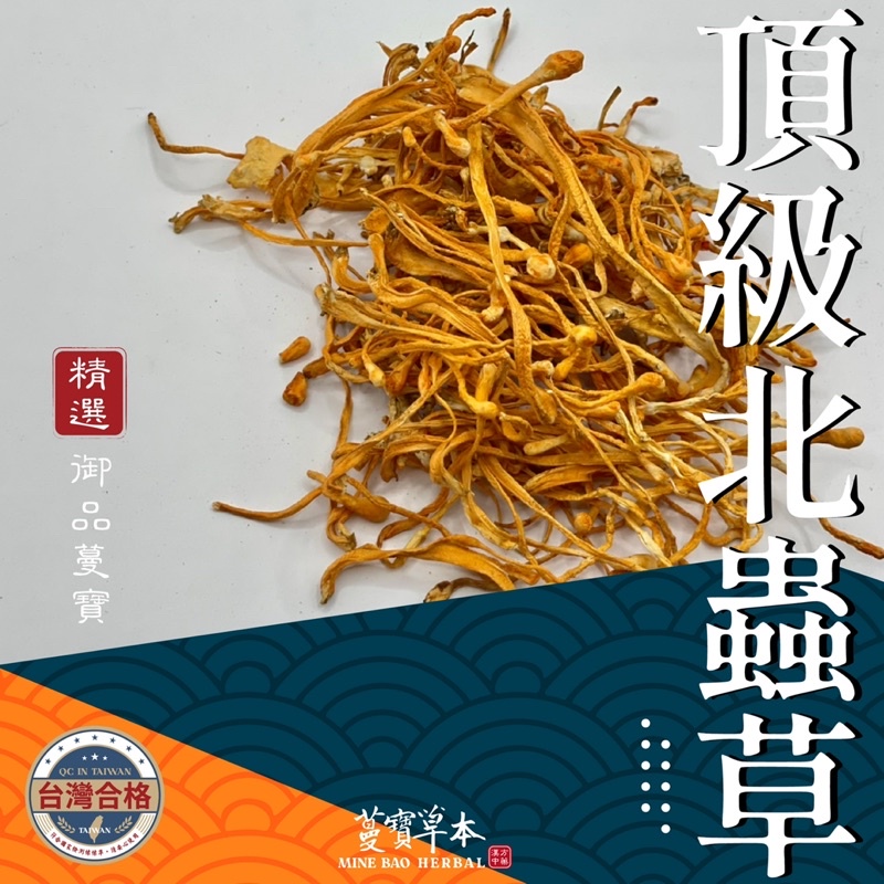 600克-蔓寶 【頂級北蟲草 】養生保健 北蟲草燉雞湯 黃金蟲草藥膳 蟲草花藥膳 煲湯 冬天進補 無農殘