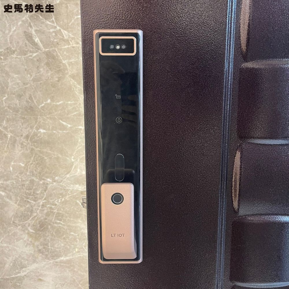 聯泰LTIOT 人臉辨識 物聯網電子鎖 – X8(黑色/玫瑰金 兩色可選)