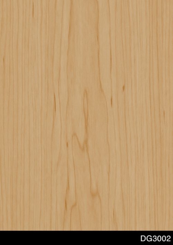 DG3002