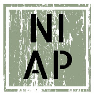 NIAP復古電輔腳踏車-電動車,電輔車,電動腳踏車,新竹電動腳踏車,湖口電動腳踏車