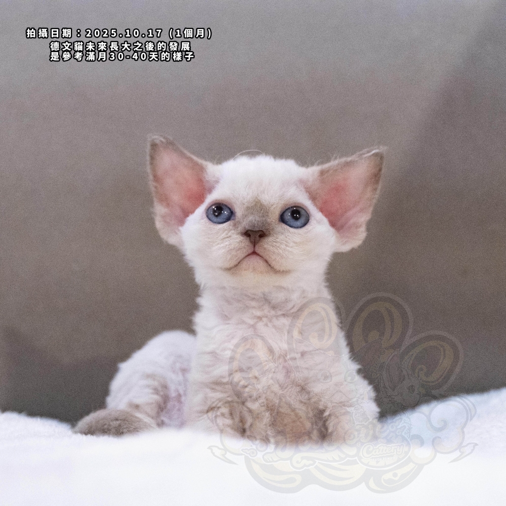 重點色德文-女孩