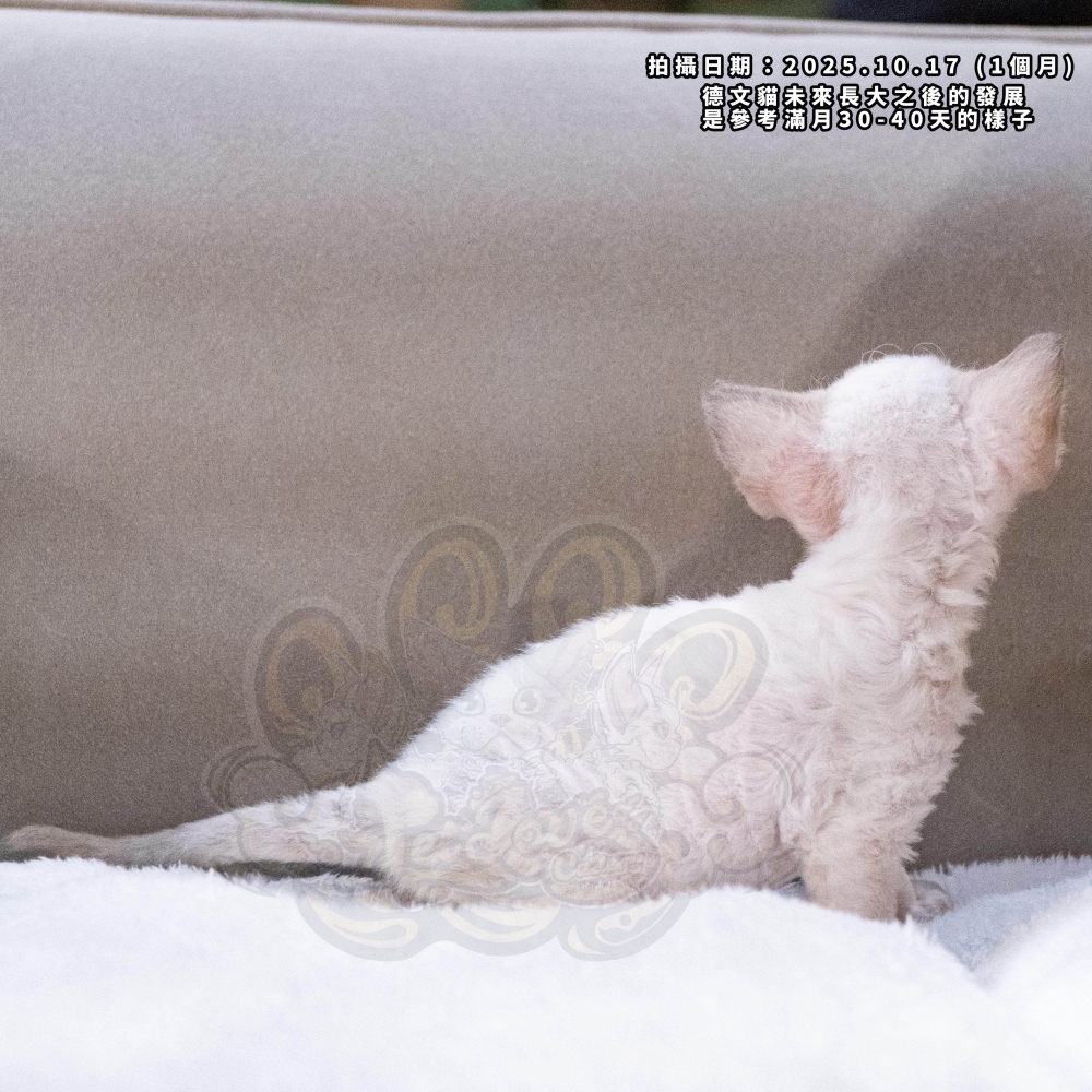 重點色德文-女孩