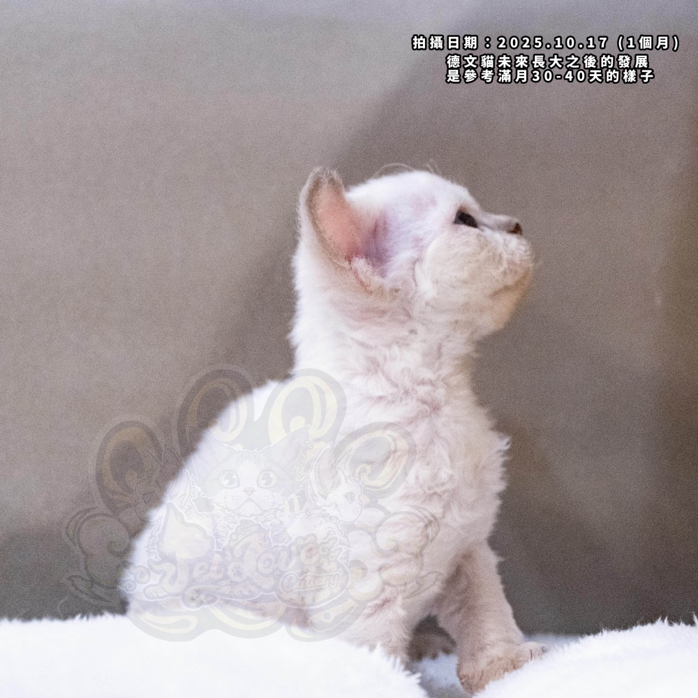 重點色德文-女孩