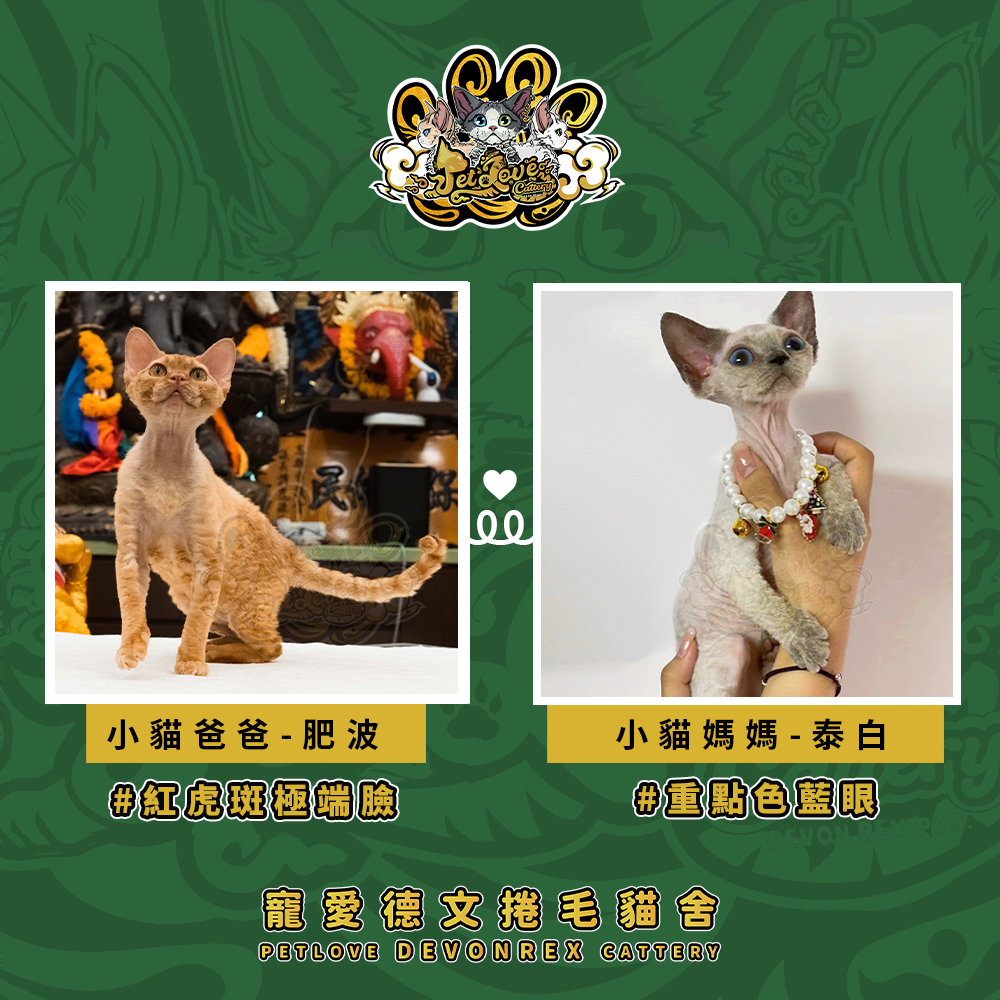 黑白德文-男孩