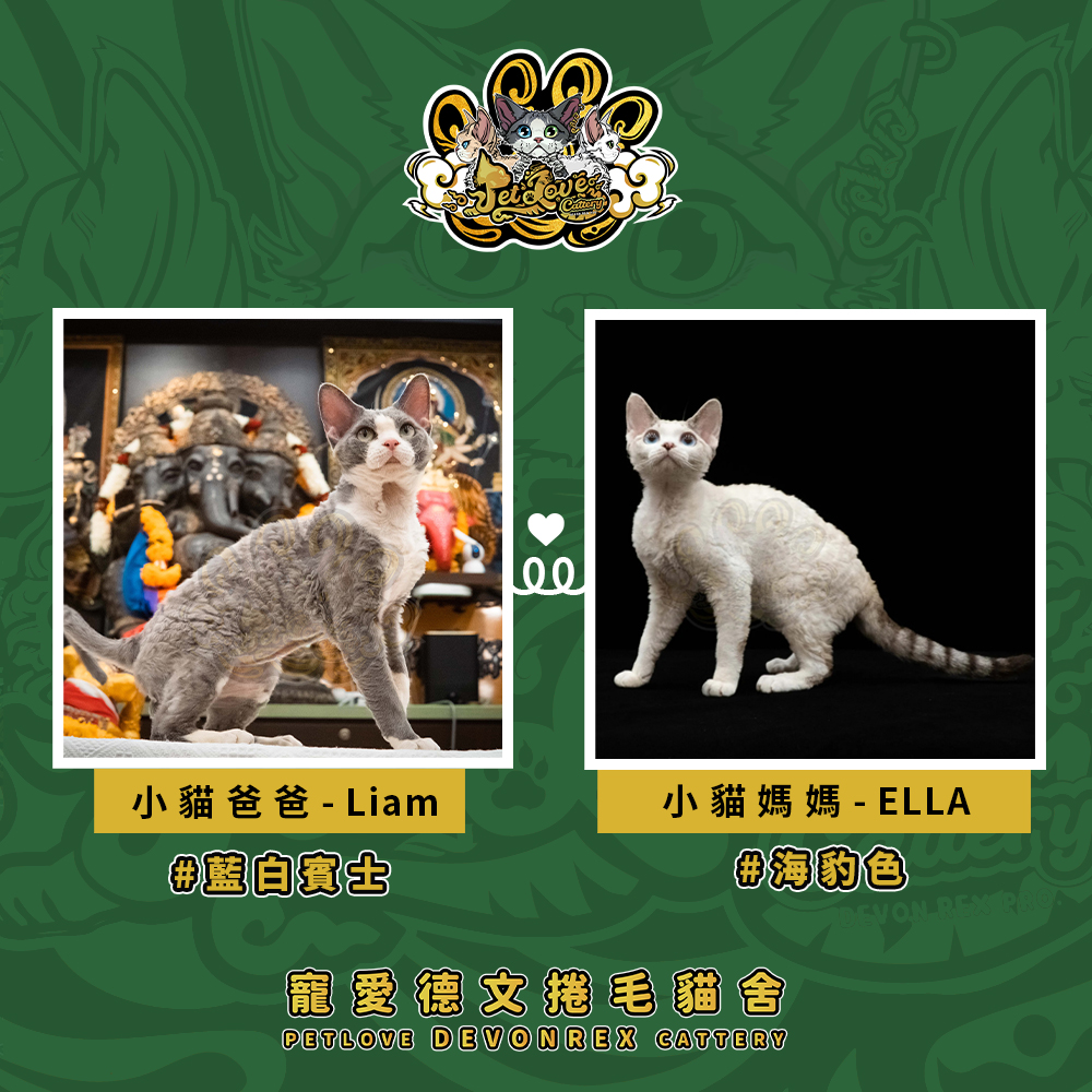 藍白德文-男孩