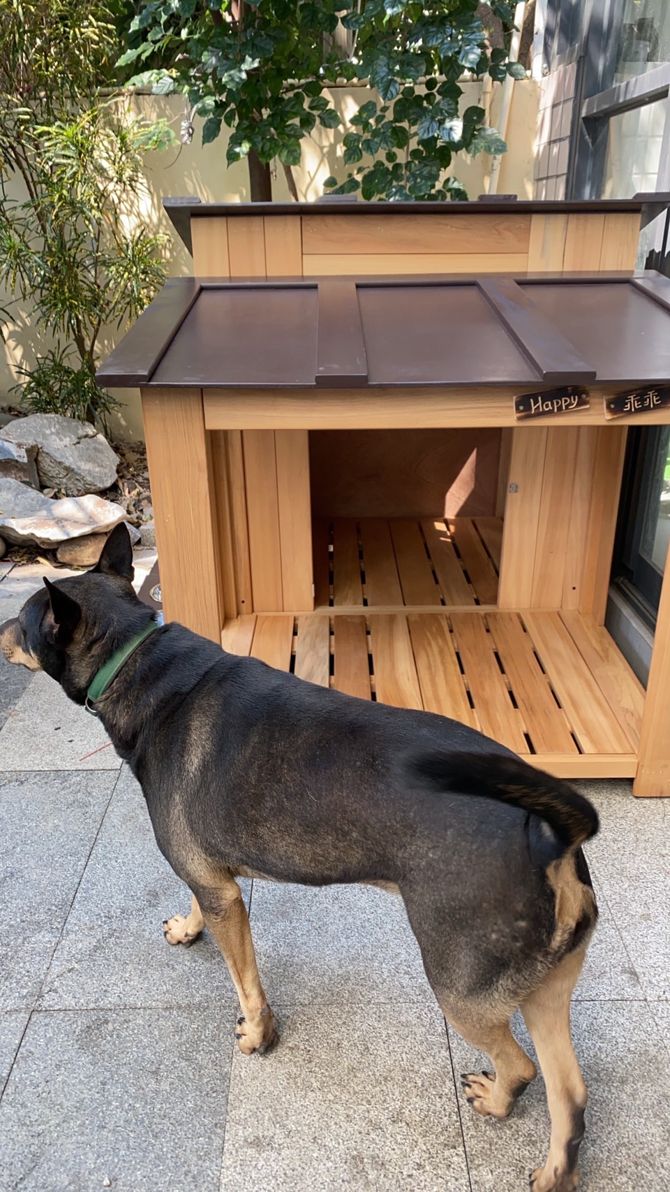 院子裡的溫馨狗屋設計