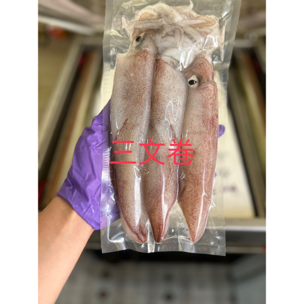澎湖小管 澎湖3文卷