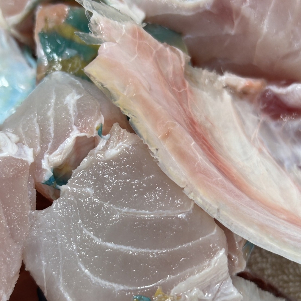 現流鸚哥魚塊（料理包