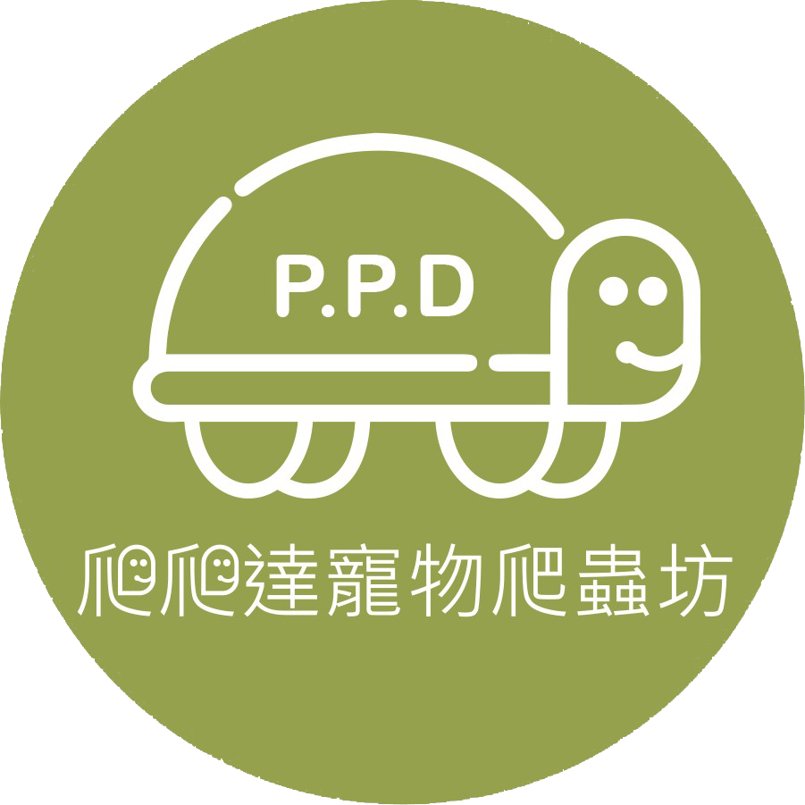 爬爬達寵物爬蟲坊-爬蟲店,彰化爬蟲店,和美爬蟲店
