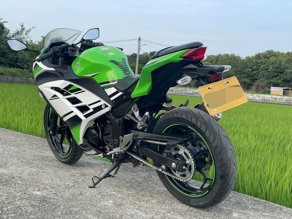 Kawasaki Ninja 300